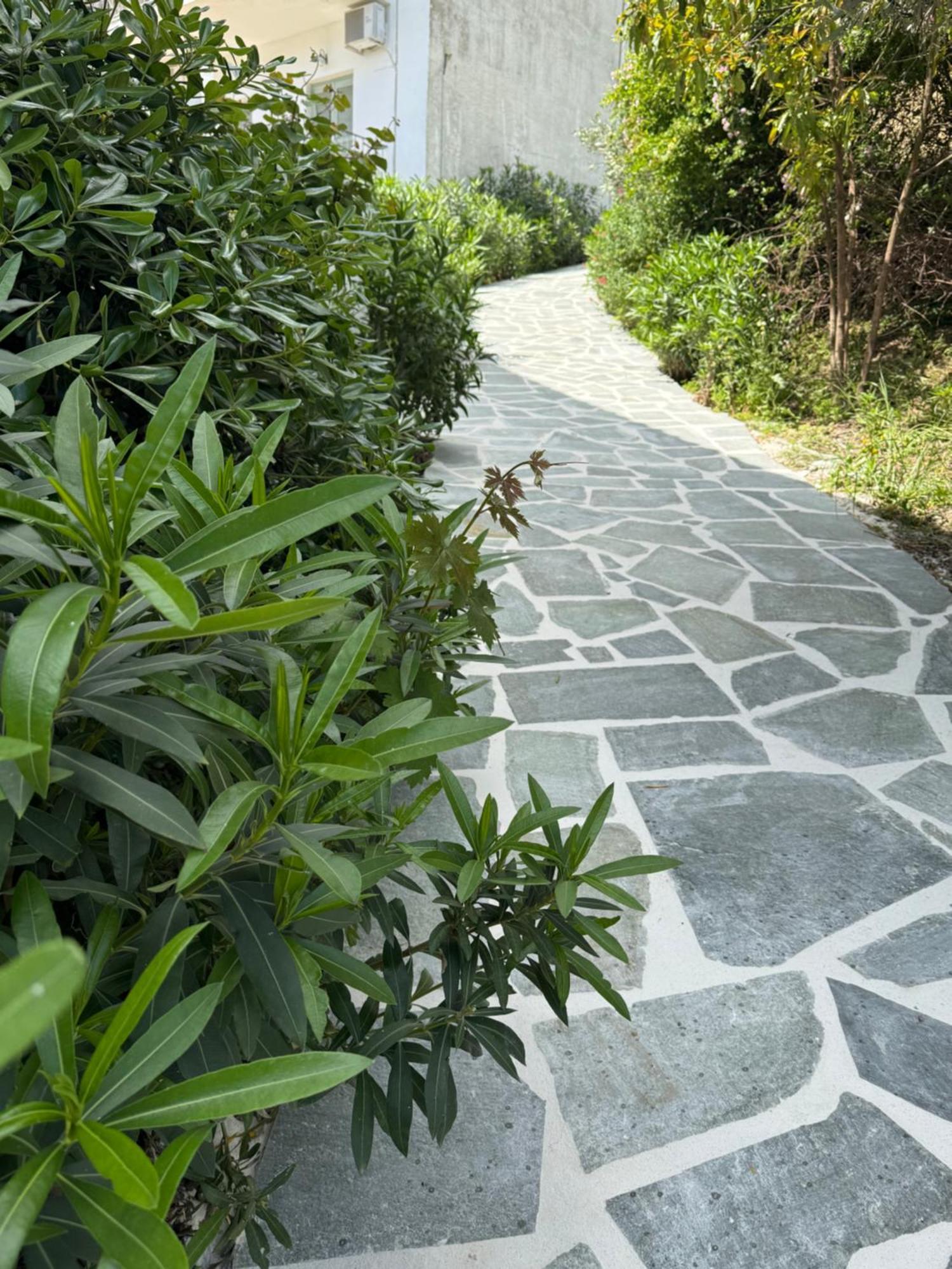 Skiathos Country Studios Eksteriør billede