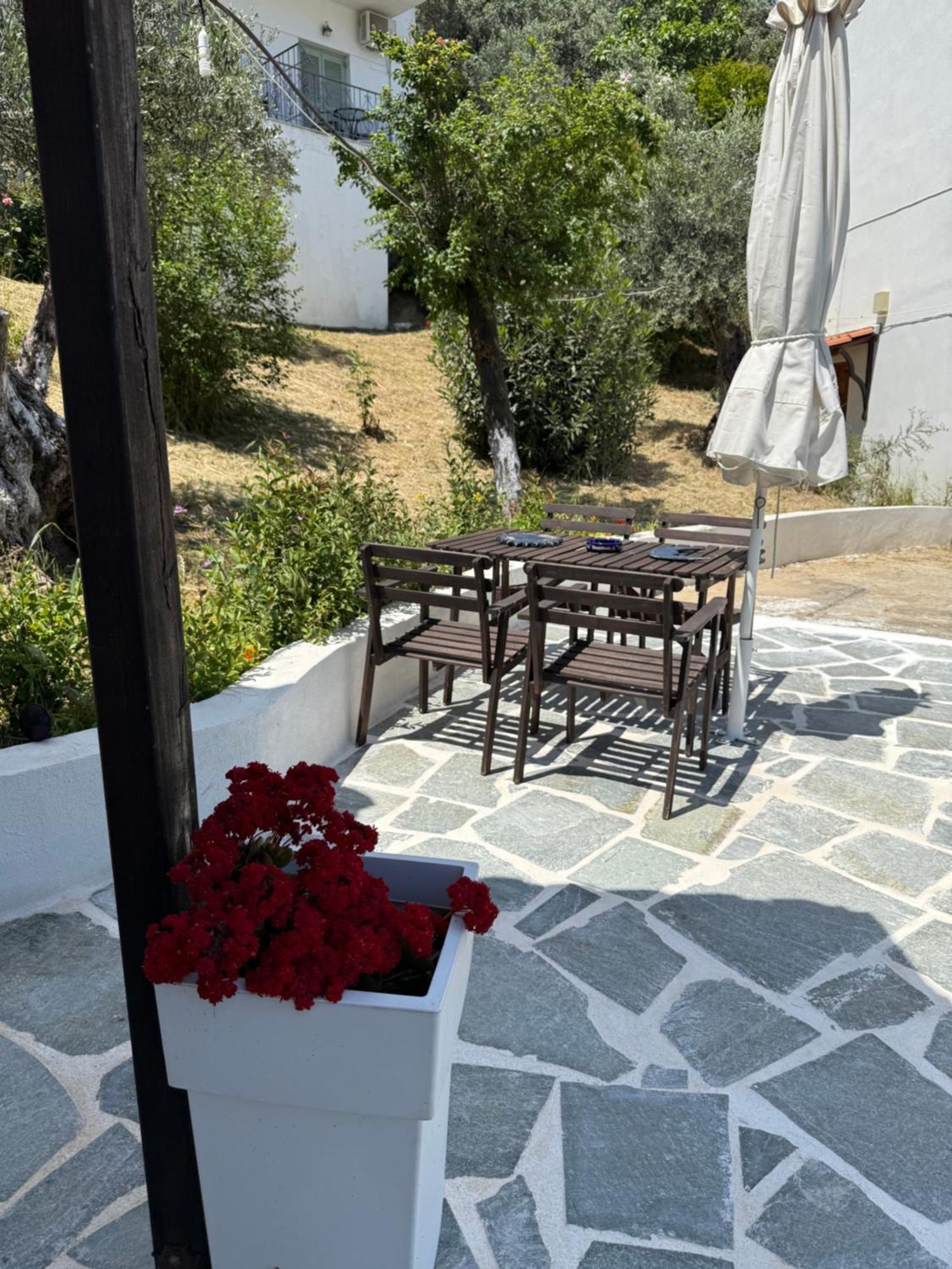 Skiathos Country Studios Eksteriør billede